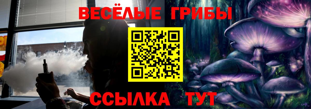 Домодедово  Галлюциногенные грибы Psilocybine cubensis  Псилоцибиновые грибы мицелий  Вход с VPN 