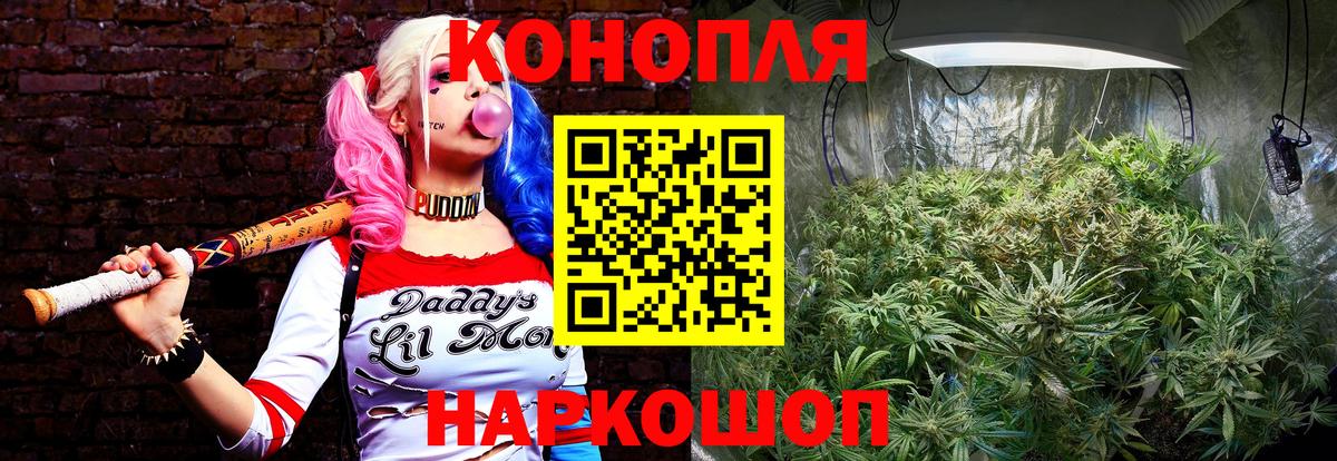 Марихуана гибрид Домодедово
